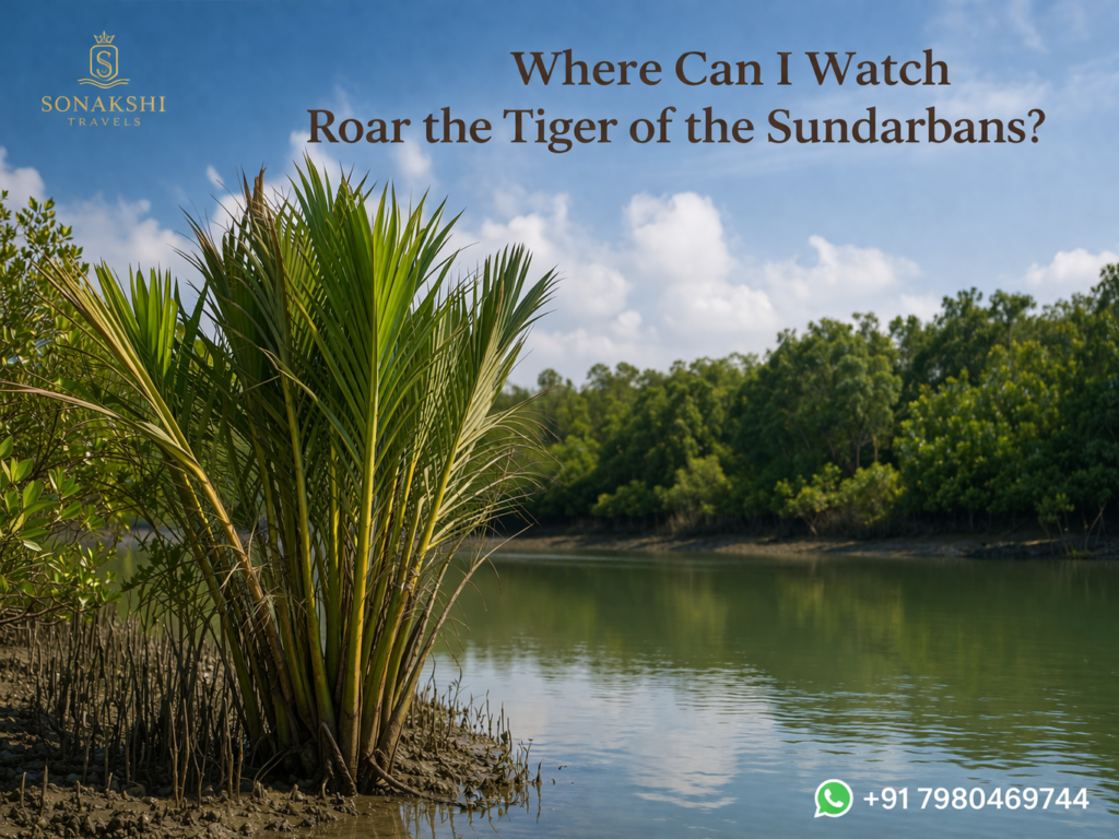 Where Can I Watch Roar the Tiger of the Sundarbans
