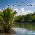 Where Can I Watch Roar the Tiger of the Sundarbans