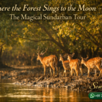 Where the Forest Sings to the Moon — The Magical Sundarban Tour