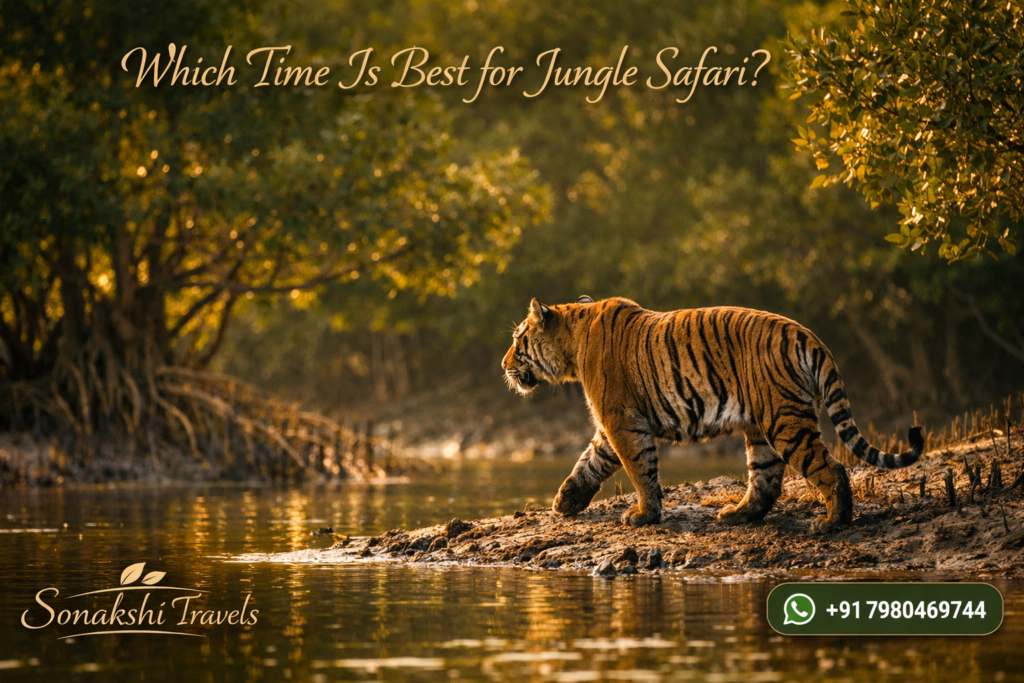Which Time Is Best for Jungle Safari