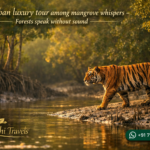 Sundarban luxury tour among mangrove whispers - Forests speak without sound