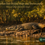 Sundarban tour beyond maps and known paths