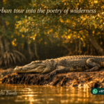 Sundarban tour into the poetry of wilderness