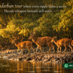 Sundarban tour where every ripple hides a secret