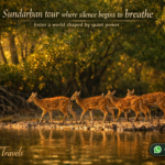 Sundarban tour where silence begins to breathe