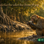 Sundarban tour where time loosens its grip