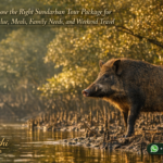 How to Choose the Right Sundarban Tour Package for Comfort, Value, Meals, Family Needs, and Weekend Travel
