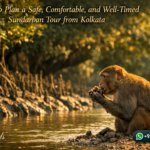 How to Plan a Safe, Comfortable, and Well-Timed Sundarban Tour from Kolkata