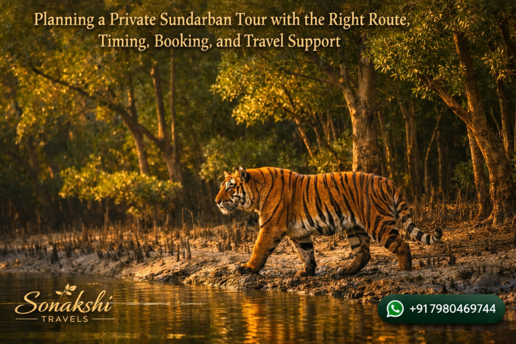Planning a Private Sundarban Tour with the Right Route, Timing, Booking, and Travel Support