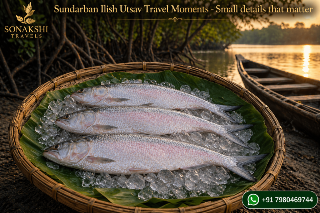 Sundarban Ilish Utsav Travel Moments - Small details that matter