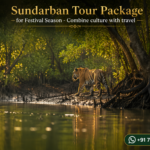 Sundarban Tour Package for Festival Season - Combine culture with travel