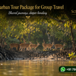 Sundarban Tour Package for Group Travel - Shared journeys, deeper bonding