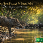 Sundarban Tour Package for Stress Relief - Nature as your quiet therapy