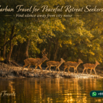 Sundarban Travel for Peaceful Retreat Seekers - Find silence away from city noise
