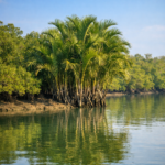 Sundarban Travel with Cultural Evenings - Add local traditions to your trip