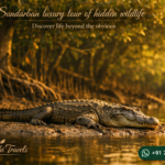 Sundarban luxury tour of hidden wildlife - Discover life beyond the obvious