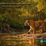 Sundarban luxury tour under endless skies - Horizons that never seem to end
