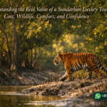 Understanding the Real Value of a Sundarban Luxury Tour: Cost, Wildlife, Comfort, and Confidence