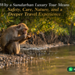 Why a Sundarban Luxury Tour Means Safety, Care, Nature, and a Deeper Travel Experience