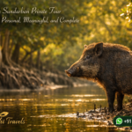 Why a Sundarban Private Tour Feels More Personal, Meaningful, and Complete