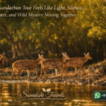 Why a Sundarban Tour Feels Like Light, Silence, Water, and Wild Mystery Moving Together