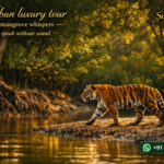 Why a Sundarban Tour Feels Like Time, Water, Silence, Joy, and the Green World Coming Together