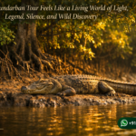 Why a Sundarban Tour Feels Like a Living World of Light, Legend, Silence, and Wild Discovery
