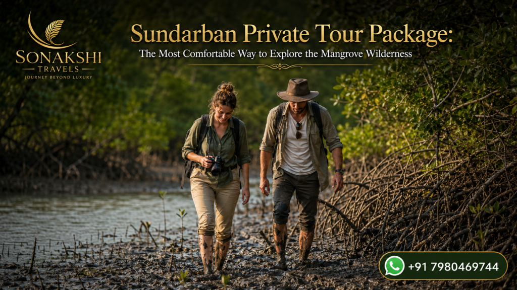 Sundarban Private Tour Package: The Most Comfortable Way to Explore the Mangrove Wilderness