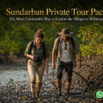 Sundarban Private Tour Package: The Most Comfortable Way to Explore the Mangrove Wilderness