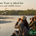 Sundarban Tour is ideal for birdwatchers and wildlife lovers