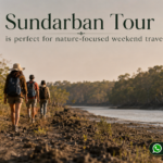 Sundarban Tour is perfect for nature-focused weekend travel