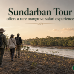 Sundarban Tour offers a rare mangrove safari experience